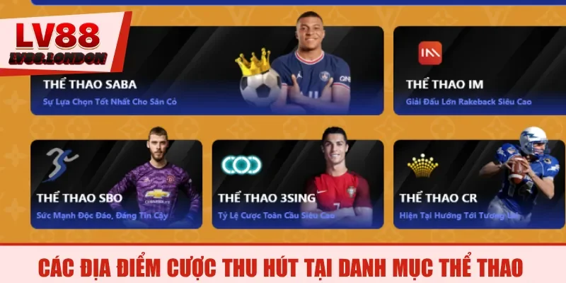 Các địa điểm cược thu hút tại danh mục thể thao