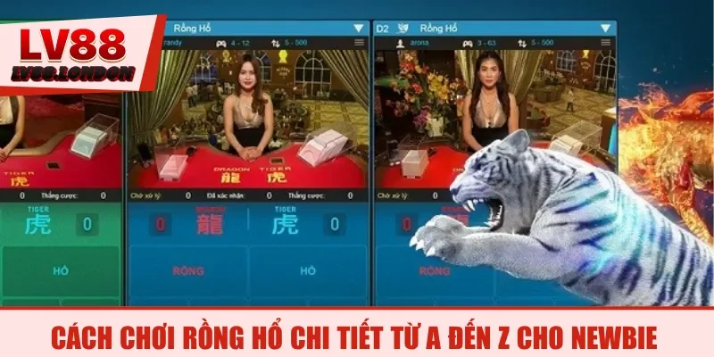 Cách chơi Rồng Hổ chi tiết từ A đến Z cho newbie