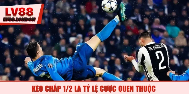 Kèo chấp 1/2 là tỷ lệ cược quen thuộc